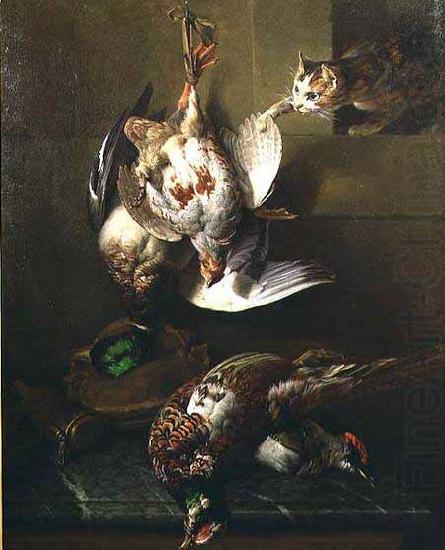 Francois Desportes A Cat Attacking Dead Game oil painting picture